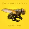 Great Fire of London - Somewhere Warm - Single